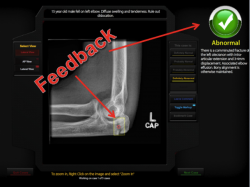 ImageSim feedback as part of deliberate practice to improve medical diagnostic skills